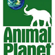 Illustration for article titled Animal Planet Reality Show To Put Bear, Antelope, Hawk, Cheetah In Same House
